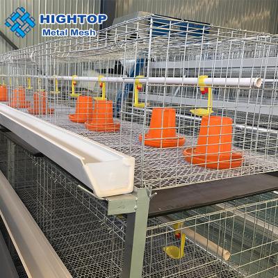 Poultry Cage Small Broiler Chicken Equipment Used